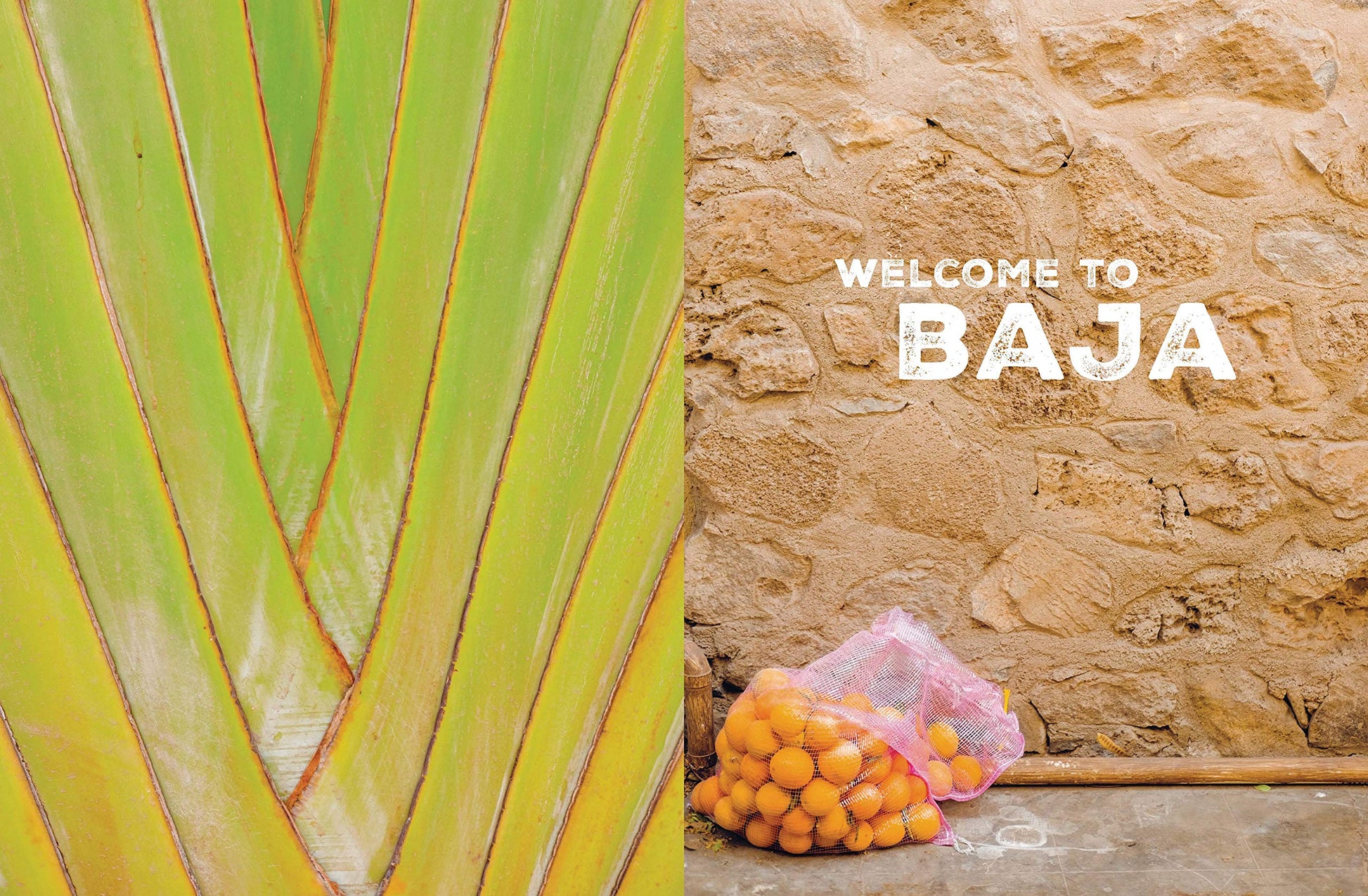 The Baja California Cookbook: Exploring the Good Life in Mexico