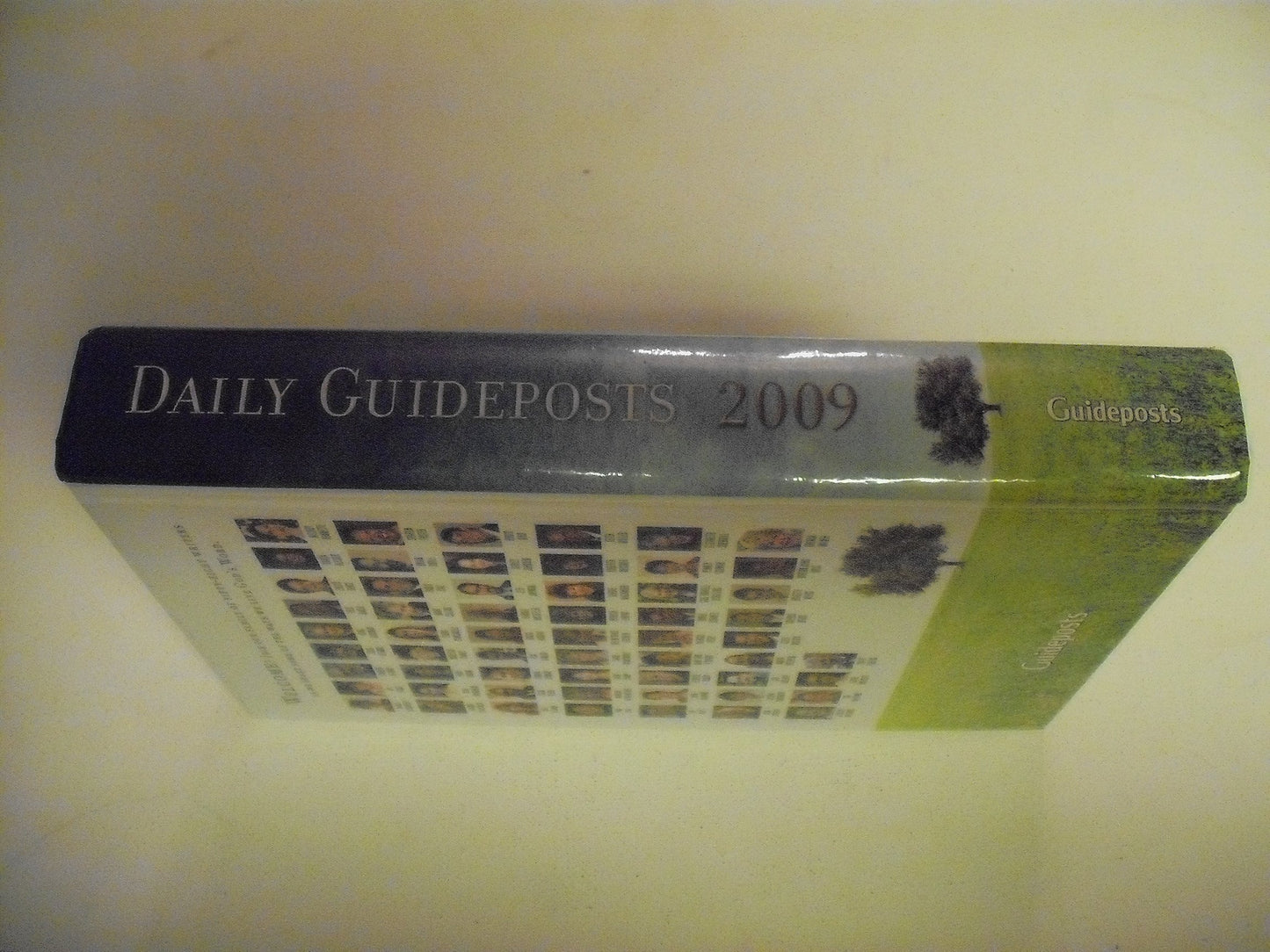 Daily Guideposts 2009: A Spirit-lifting Devotional