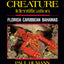 Reef Creature Identification - Florida Caribbean Bahamas - 3rd Edition (Reef Set (New World))