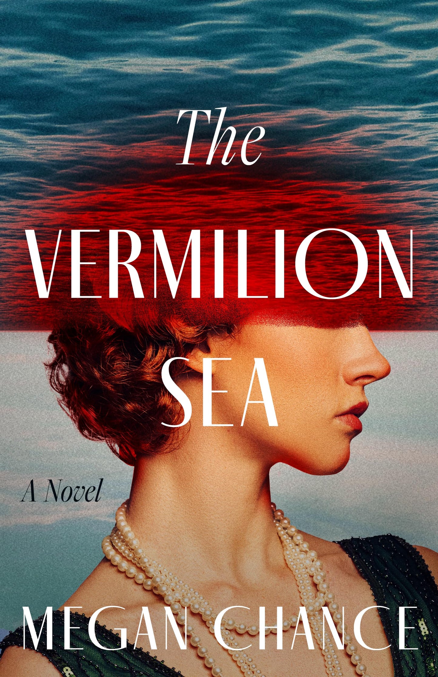The Vermilion Sea: A Novel