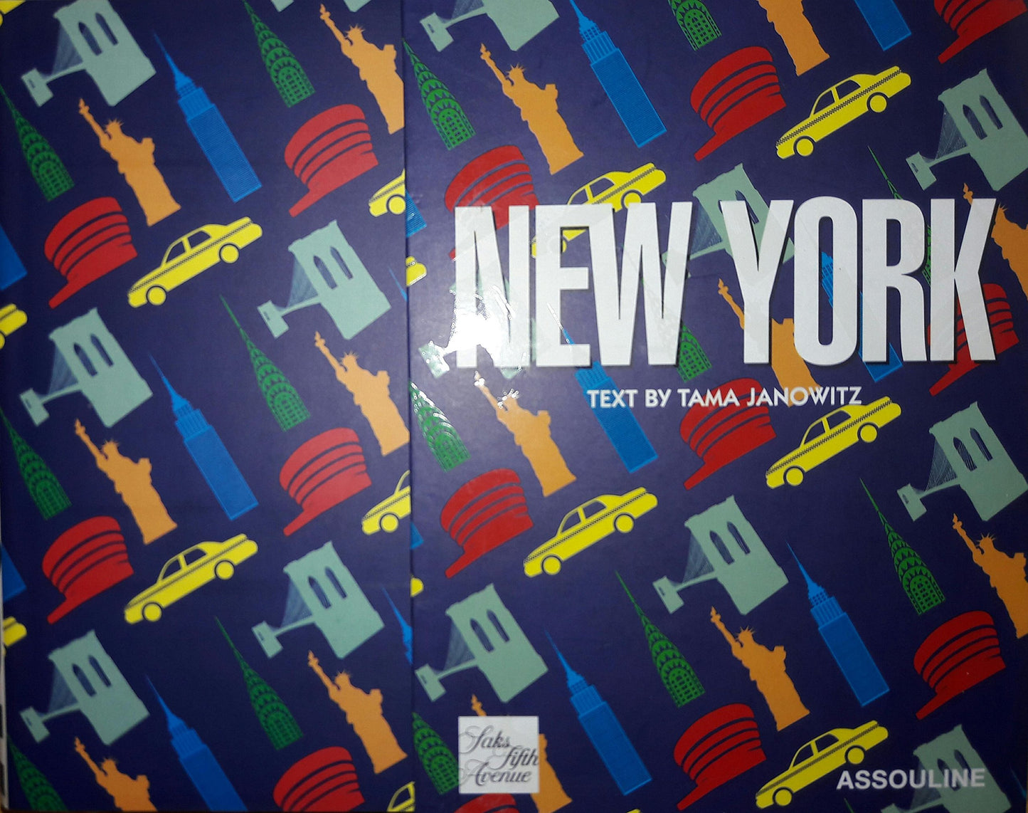 New York by Tama Janowitz