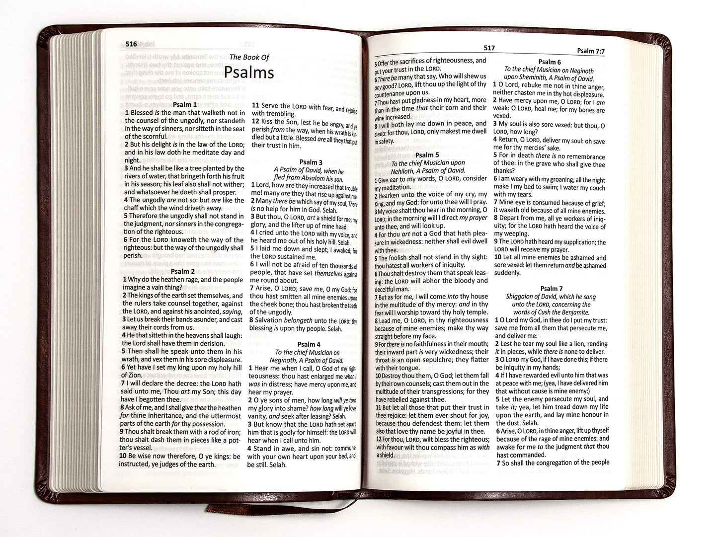 The Holy Bible (KJV), Holy Spirit Edition, Imitation Leather: King James Version