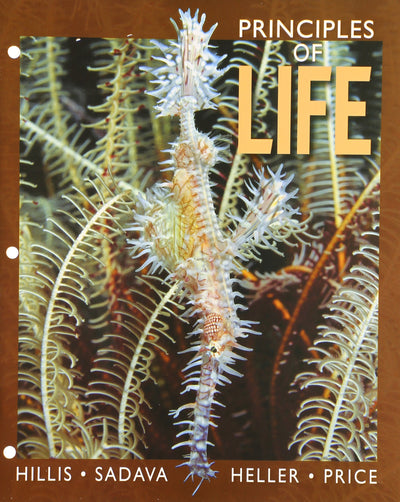 Concepts of Life