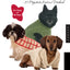 Stylish Knits for Dogs: 36 Projects to Knit in a Weekend