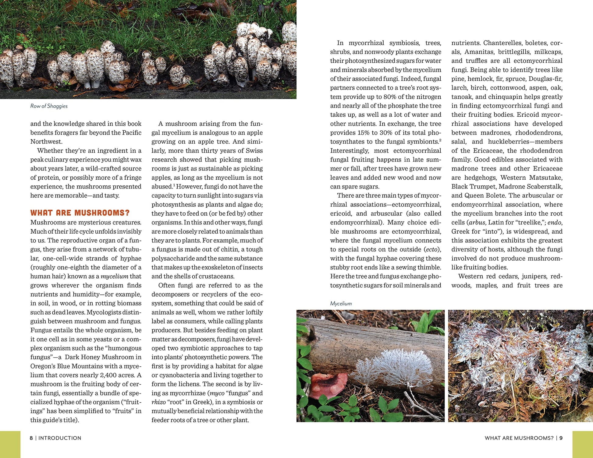 Fruits of the Forest: A Field Guide to Pacific Northwest Edible Mushrooms