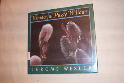 Wonderful Pussy Willows