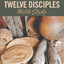 The Twelve Disciples Bible Study (Rose Visual Bible Studies)