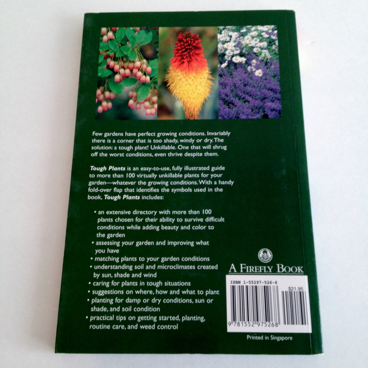 Tough Plants: Unkillable Plants for Every Garden