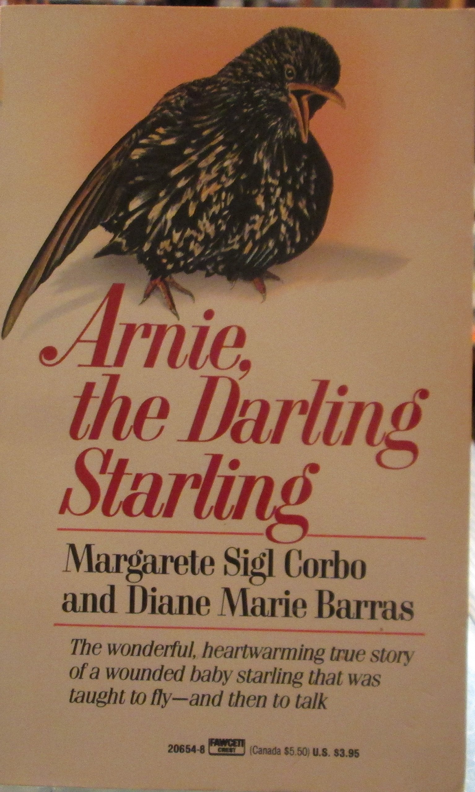 Arnie the Darling Starling
