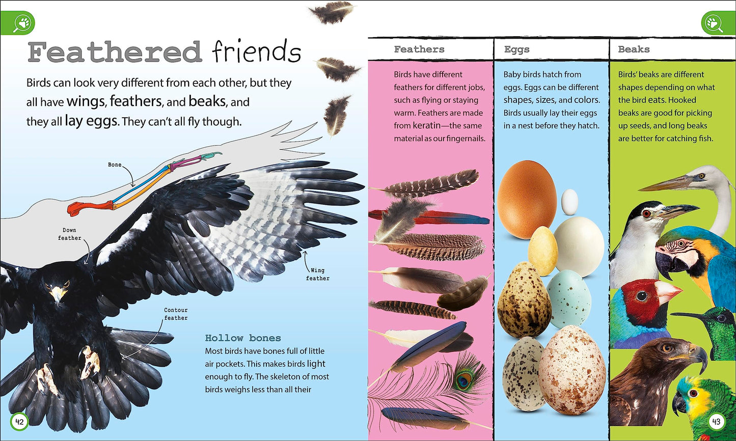 My Encyclopedia of Very Important Things Collection: 3-Book Box Set for Kids Ages 5-9, Including General Knowledge, Animals, and Dinosaurs (My Very Important Encyclopedias)