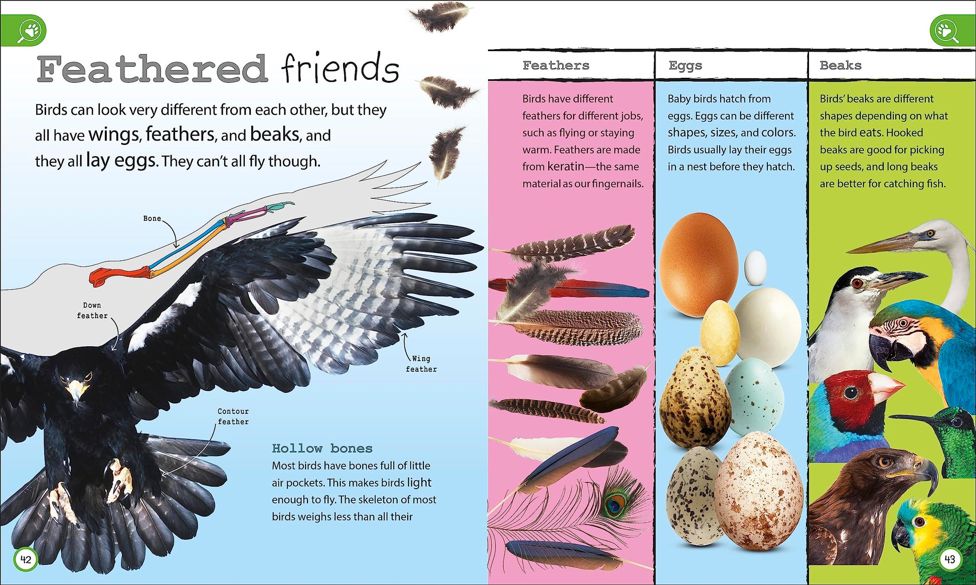 My Encyclopedia of Very Important Things Collection: 3-Book Box Set for Kids Ages 5-9, Including General Knowledge, Animals, and Dinosaurs (My Very Important Encyclopedias)