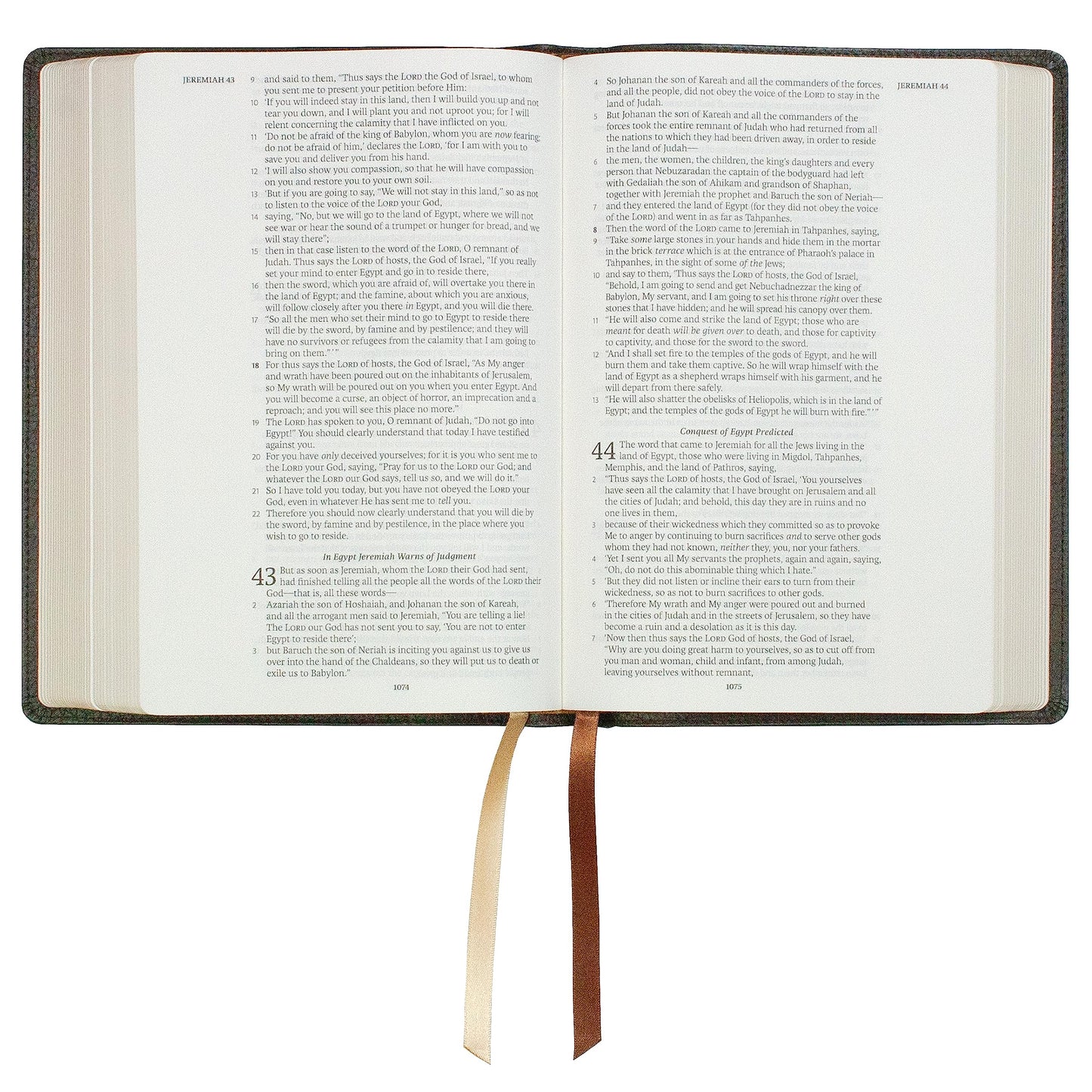 NASB Holy Bible, Large Print, Brown Premium Genuine Leather (Cowhide): 1995 New American Standard Bible in a Single-Column, Wide-Margin Format with 2 Ribbon Markers, 40 GSM Paper & Gold Page Edges