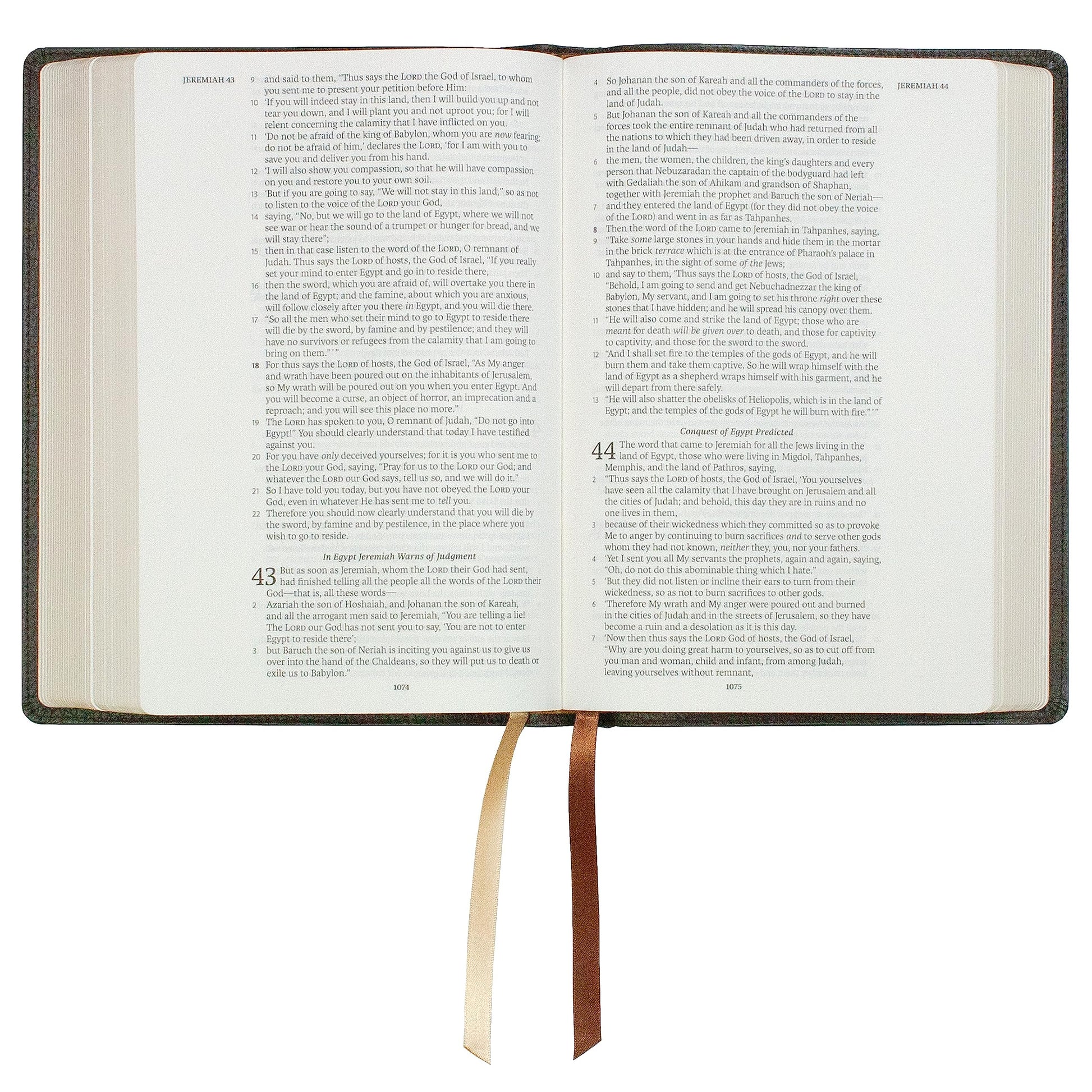 NASB Holy Bible, Large Print, Brown Premium Genuine Leather (Cowhide): 1995 New American Standard Bible in a Single-Column, Wide-Margin Format with 2 Ribbon Markers, 40 GSM Paper & Gold Page Edges