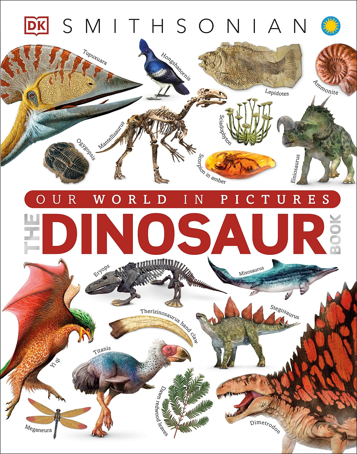 The Dinosaur Book by DK