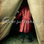 Water for Elephants: A Novel