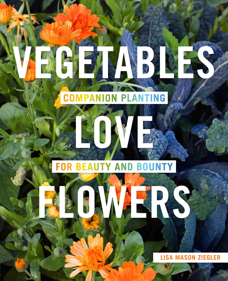 Vegetables Love Flowers: Companion Planting for Beauty and Bounty