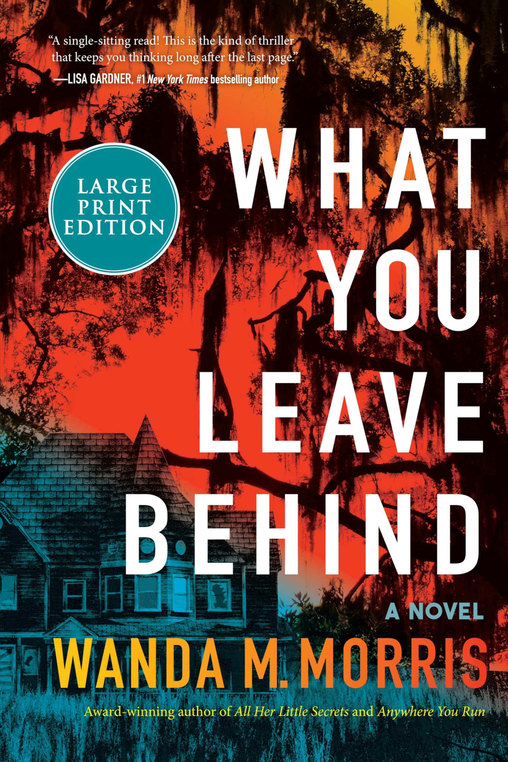 What You Leave Behind: A Novel