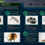 Everything You Need to Know About Snakes by DK