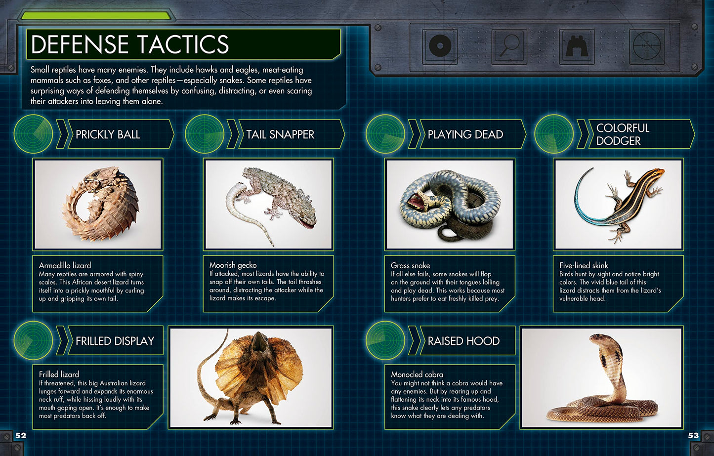 Everything You Need to Know About Snakes by DK