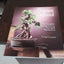 Bonsai School: The Complete Course in Care, Training & Maintenance