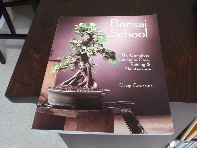 Bonsai School: The Complete Course in Care, Training & Maintenance