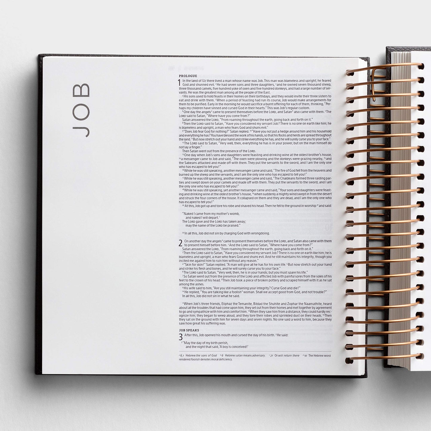 Illustrating Bible NIV Dark Grey (Spiral Bound), J3482 (8 Point Font)