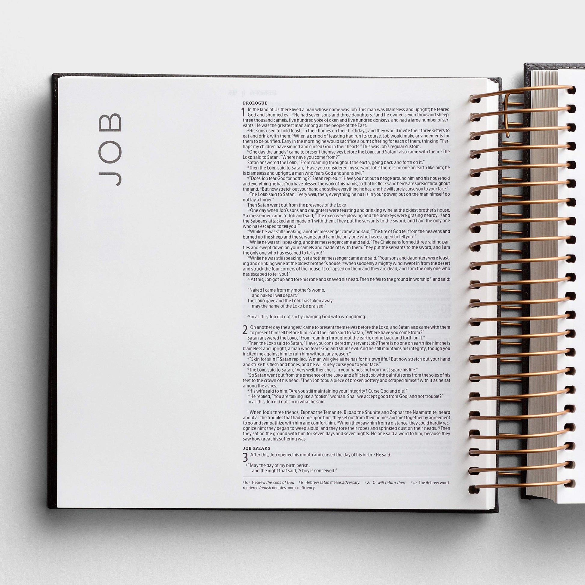 Illustrating Bible NIV Dark Grey (Spiral Bound), J3482 (8 Point Font)