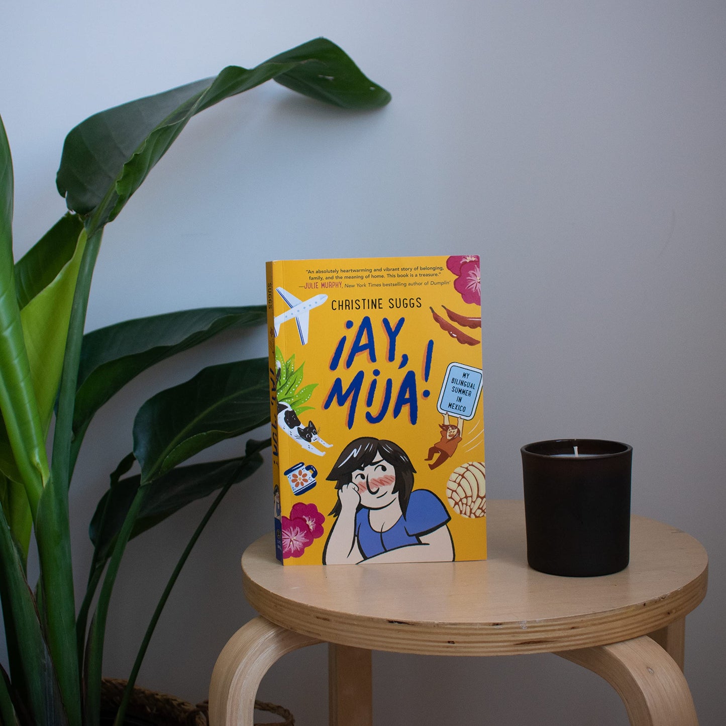 Ay, Mija! (A Graphic Novel): My Bilingual Summer in Mexico (Ay, Mija!)