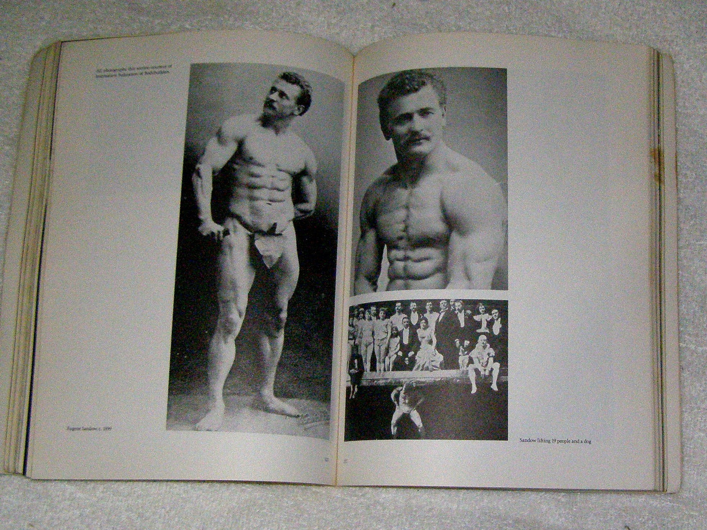 Pumping Iron: The Art and Sport of Bodybuilding by Charles G