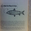 How to Fish Good (Fearless Facts About Lying, Cheating, Thieving, Poaching & other Ancient and Honorable Piscatorial Practices)