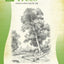 Drawing Trees
