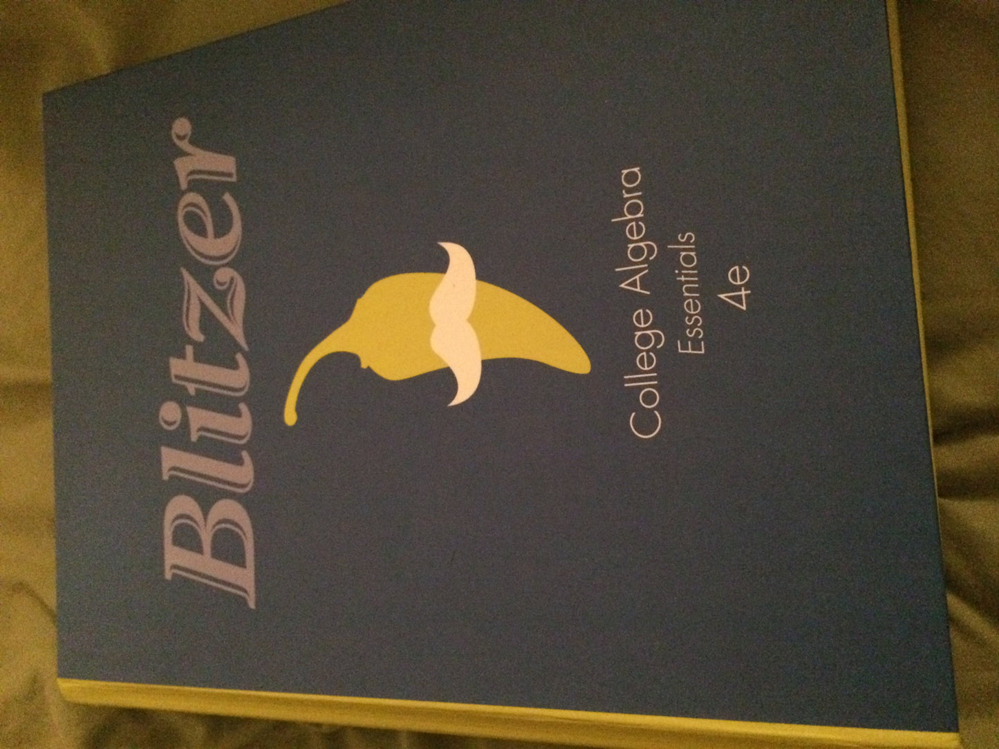 College Algebra Essentials (4th Edition)