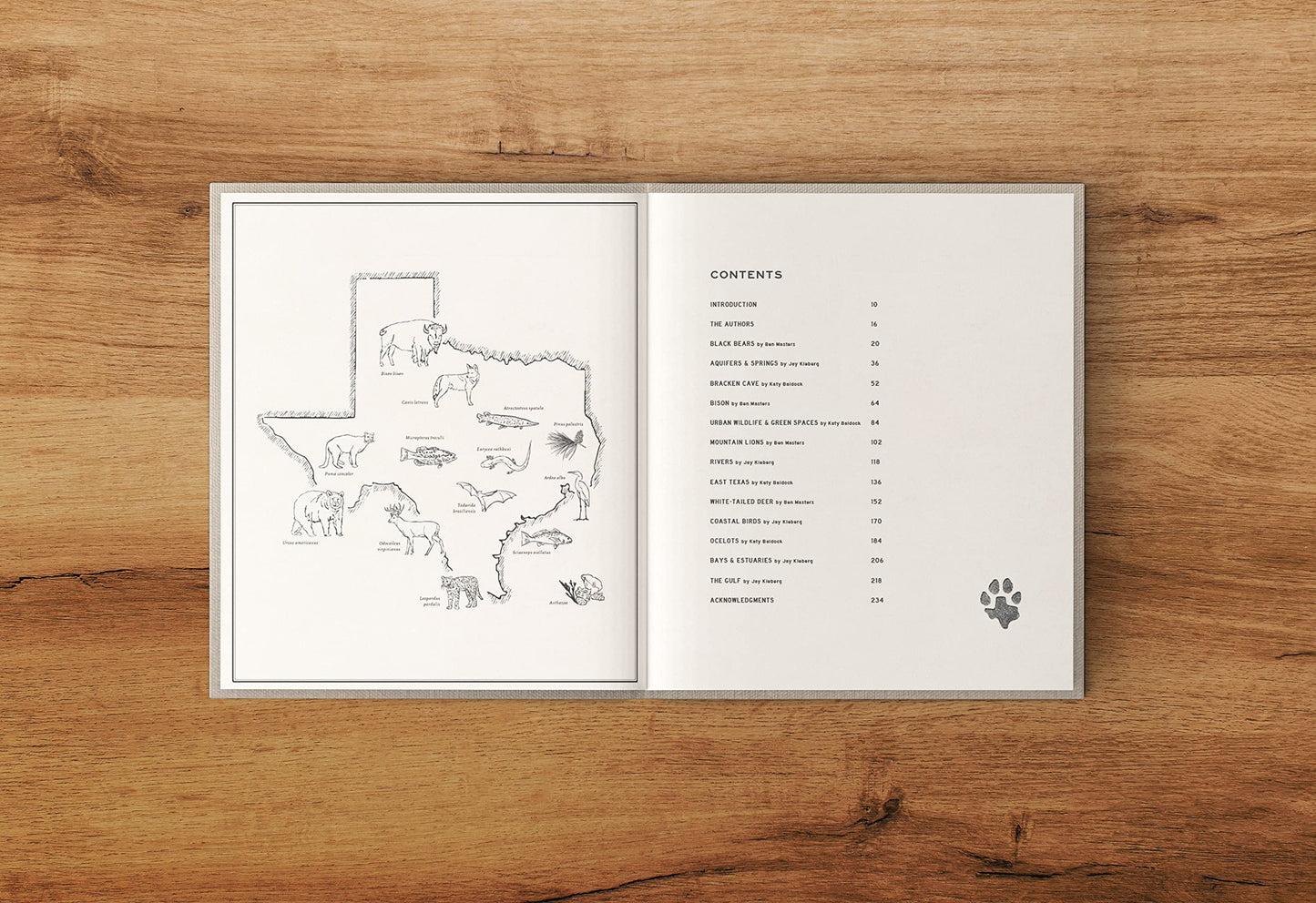 Deep in the Heart: A Texas Wildlife Story