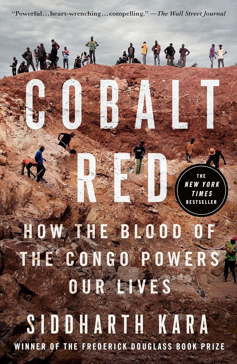 Cobalt Red: How the Blood of the Congo Powers Our Lives