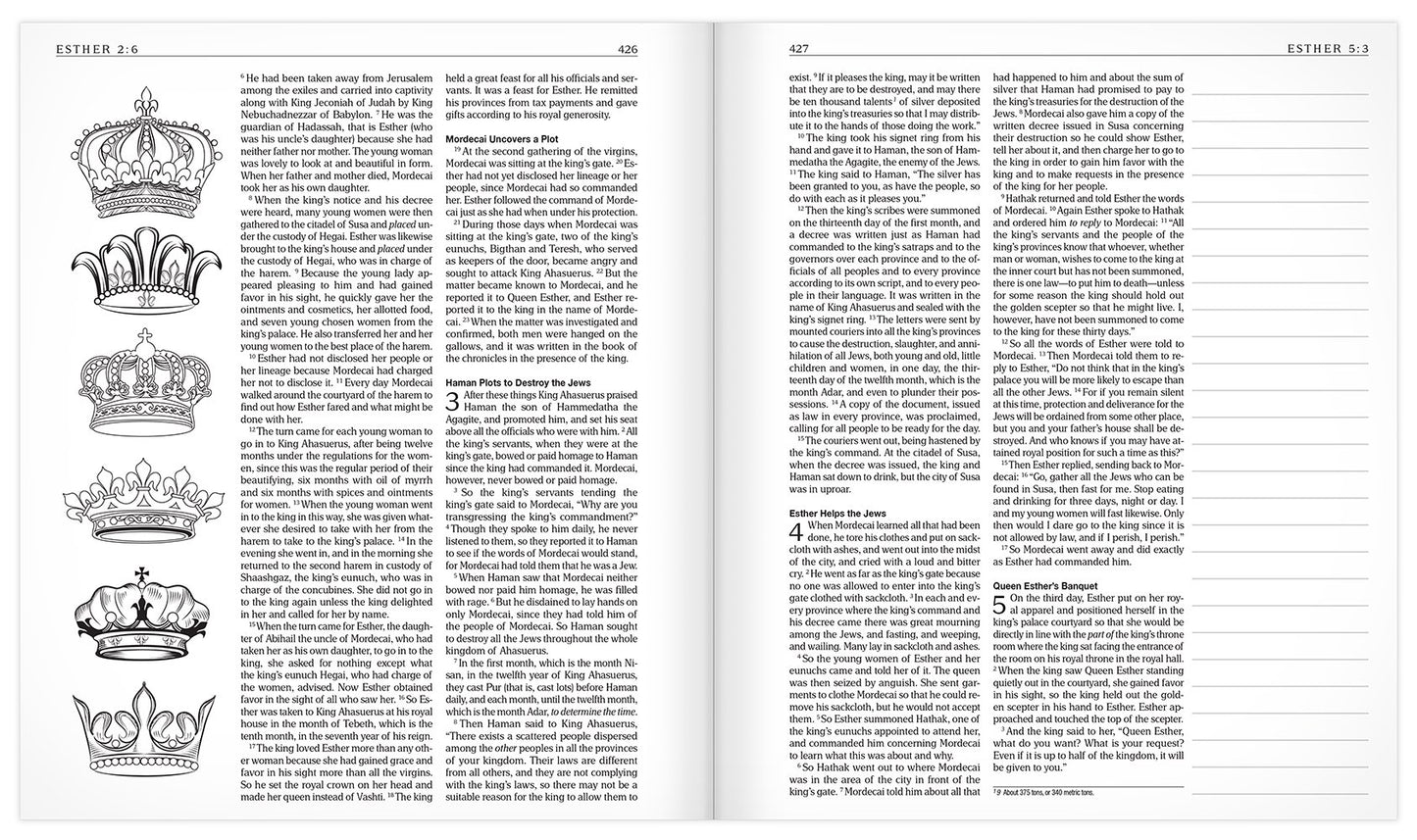 The MEV Promises of God Creative Journaling Bible: Modern English Version
