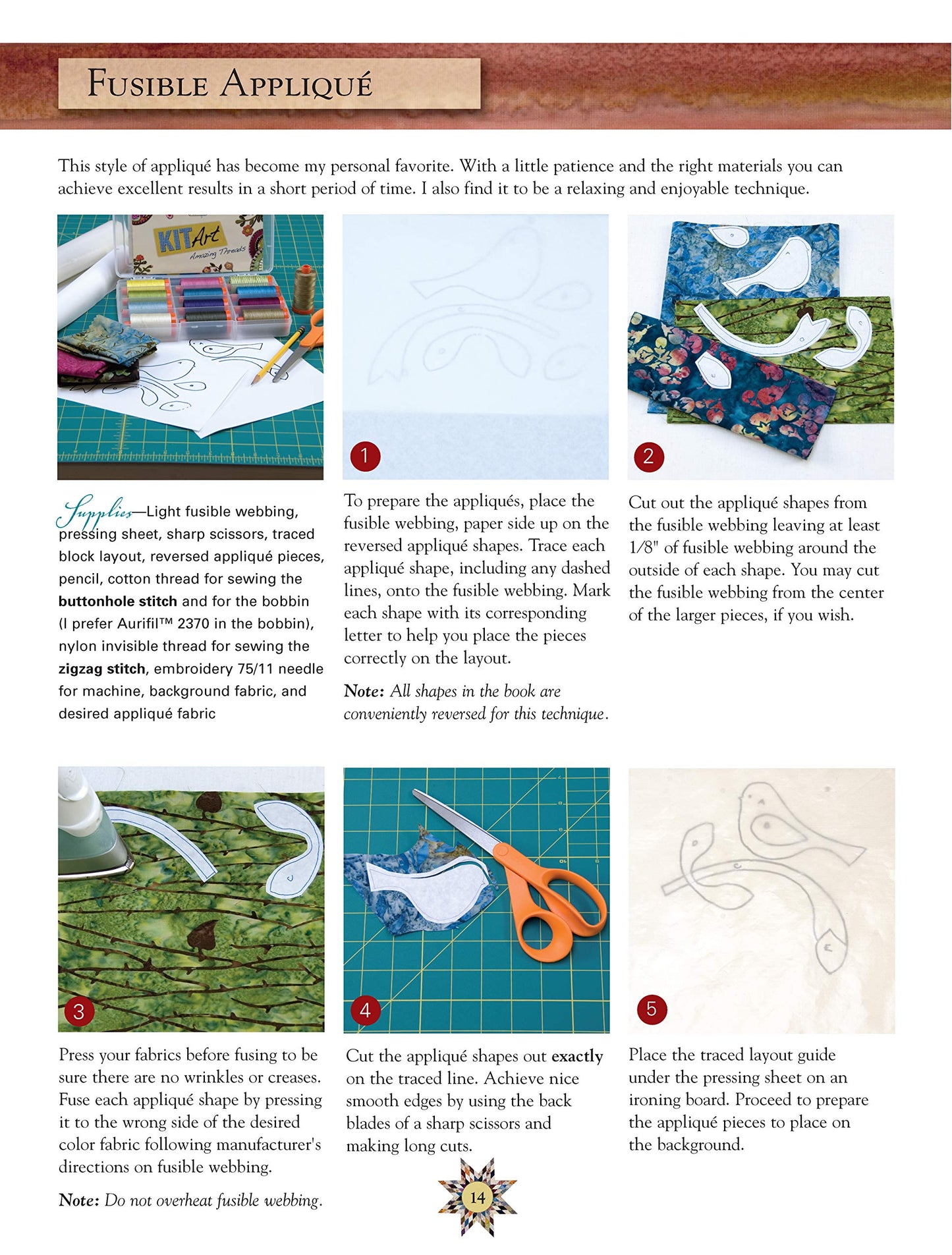 Scrappy Firework Quilts: A Burst of Strips, Scraps & Triangles; 19 Gorgeous Quilting Projects; Five Step-by-Step Techniques (Landauer) Easy Instructions for 8-Pointed Stars, Appliqué, Binding, & More