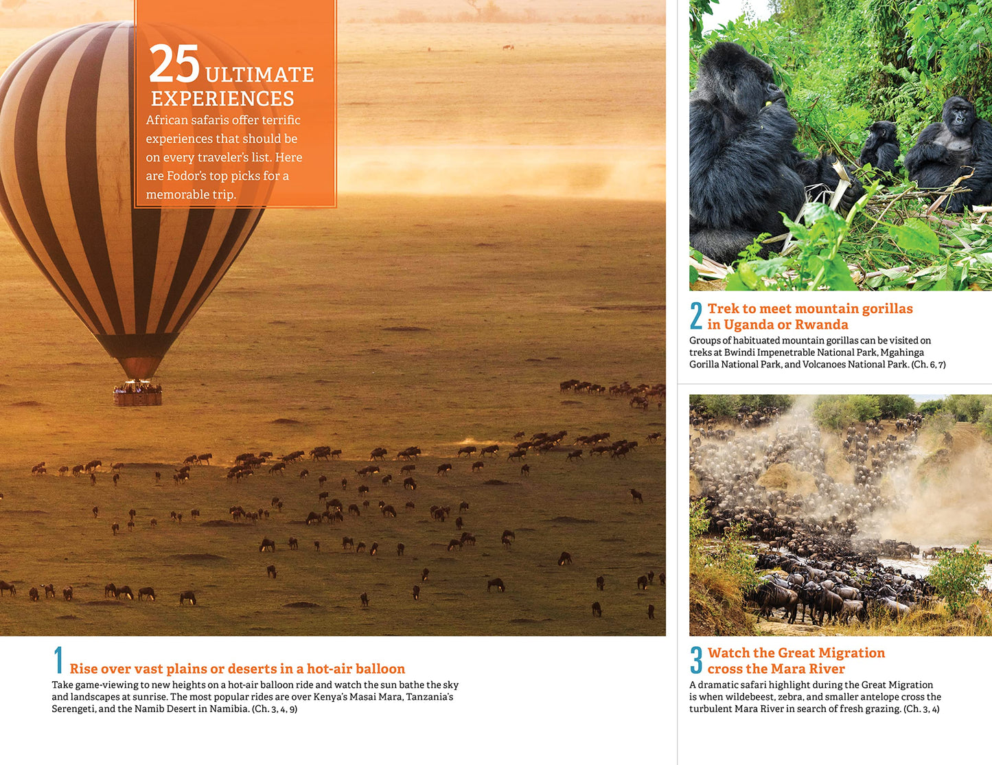 Fodor's The Complete Guide to African Safaris: with South Africa, Kenya, Tanzania, Botswana, Namibia, Rwanda, Uganda, and Victoria Falls (Full-color Travel Guide)