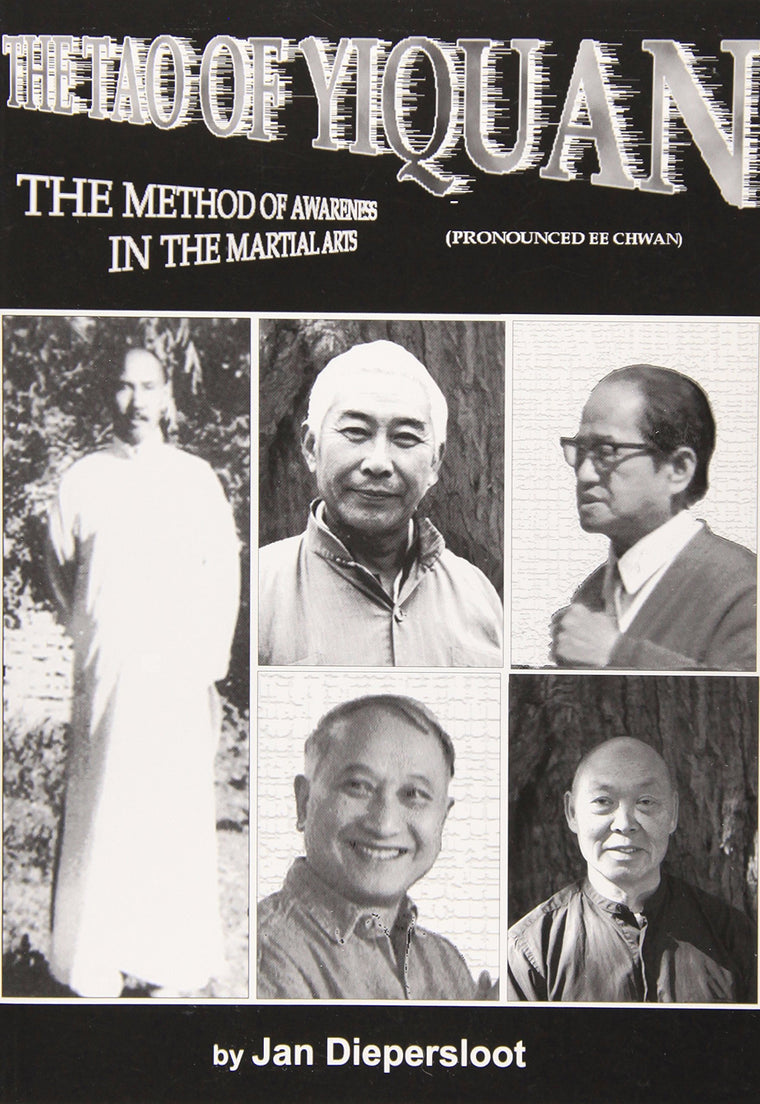 The Tao of Yiquan: The Method of Awareness in the Martial Arts