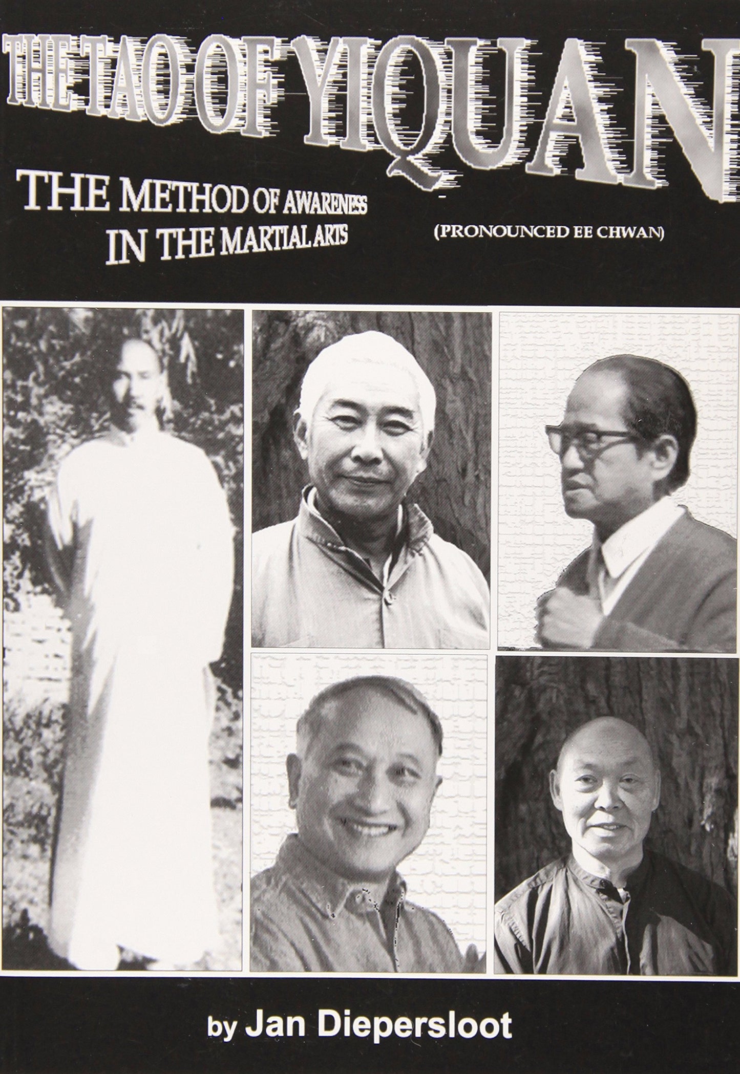 The Tao of Yiquan: The Method of Awareness in the Martial Ar