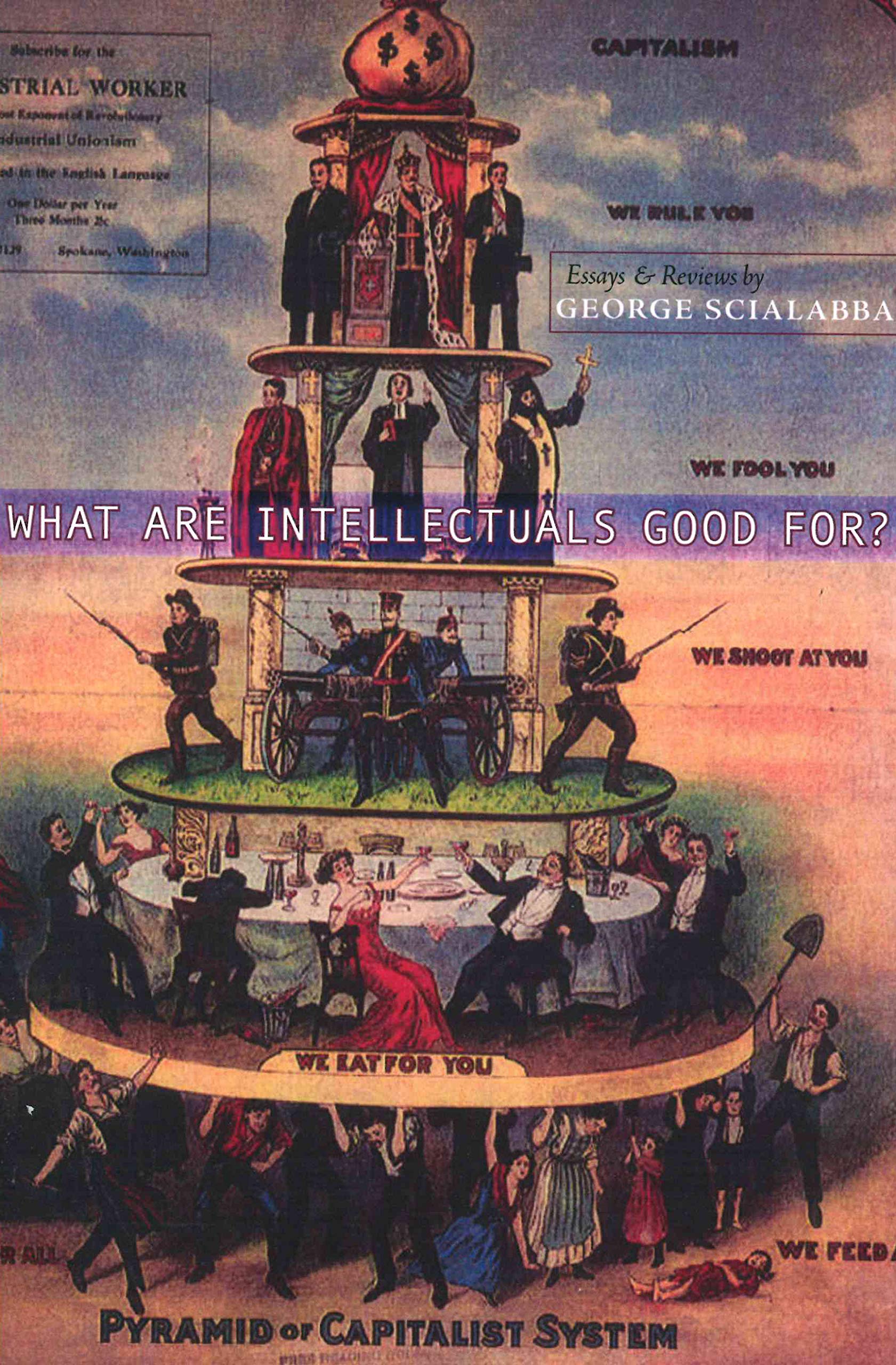 What Are Intellectuals Good For?