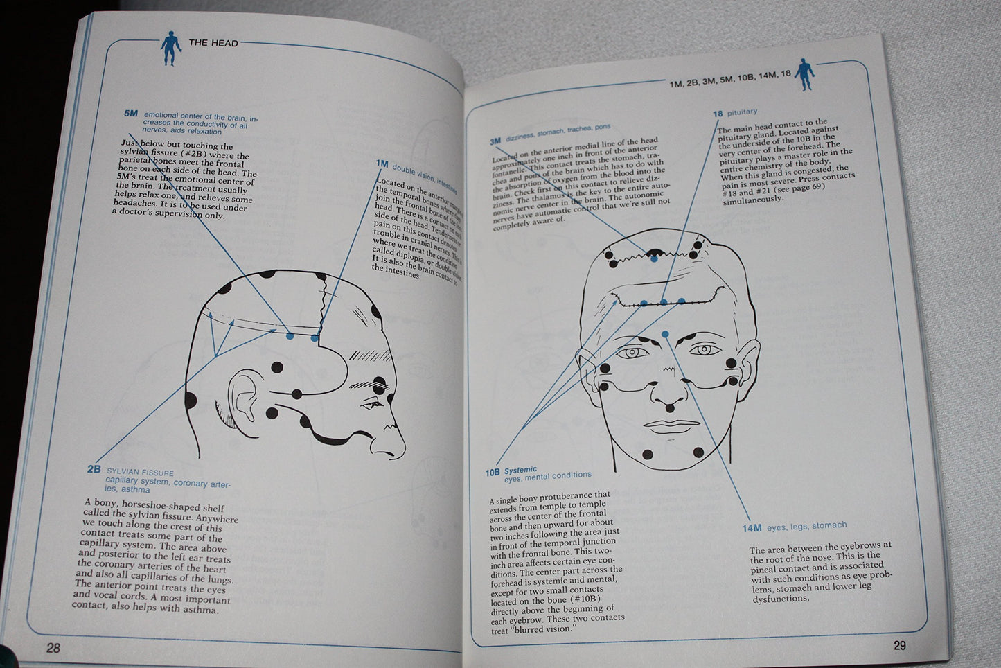 The Healing Benefits of Acupressure: Acupuncture Without Needles