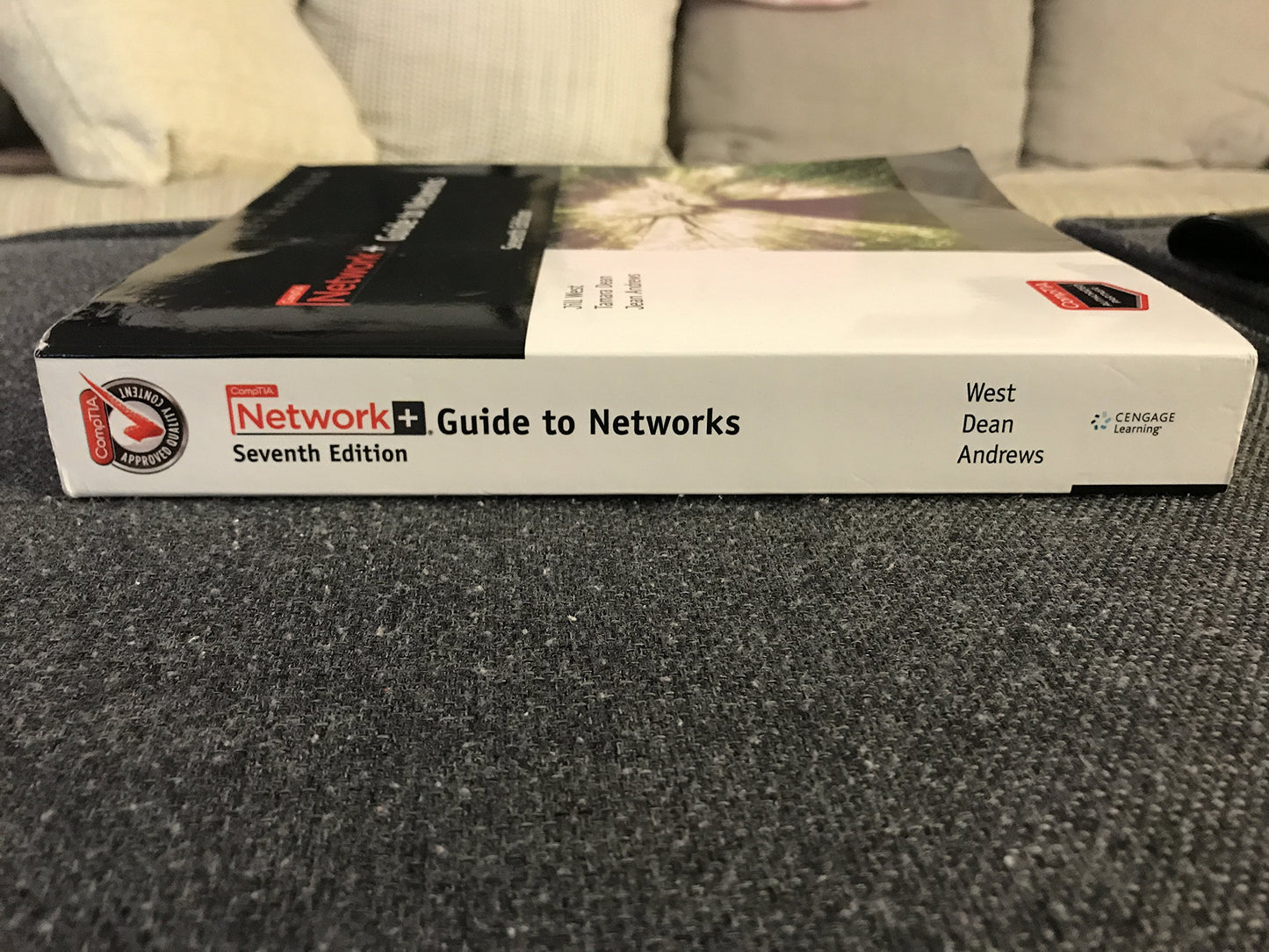 Network+ Guide to Networks