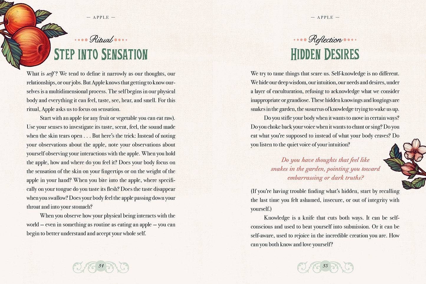 The Illustrated Herbiary: Guidance and Rituals from 36 Bewitching Botanicals (Wild Wisdom)