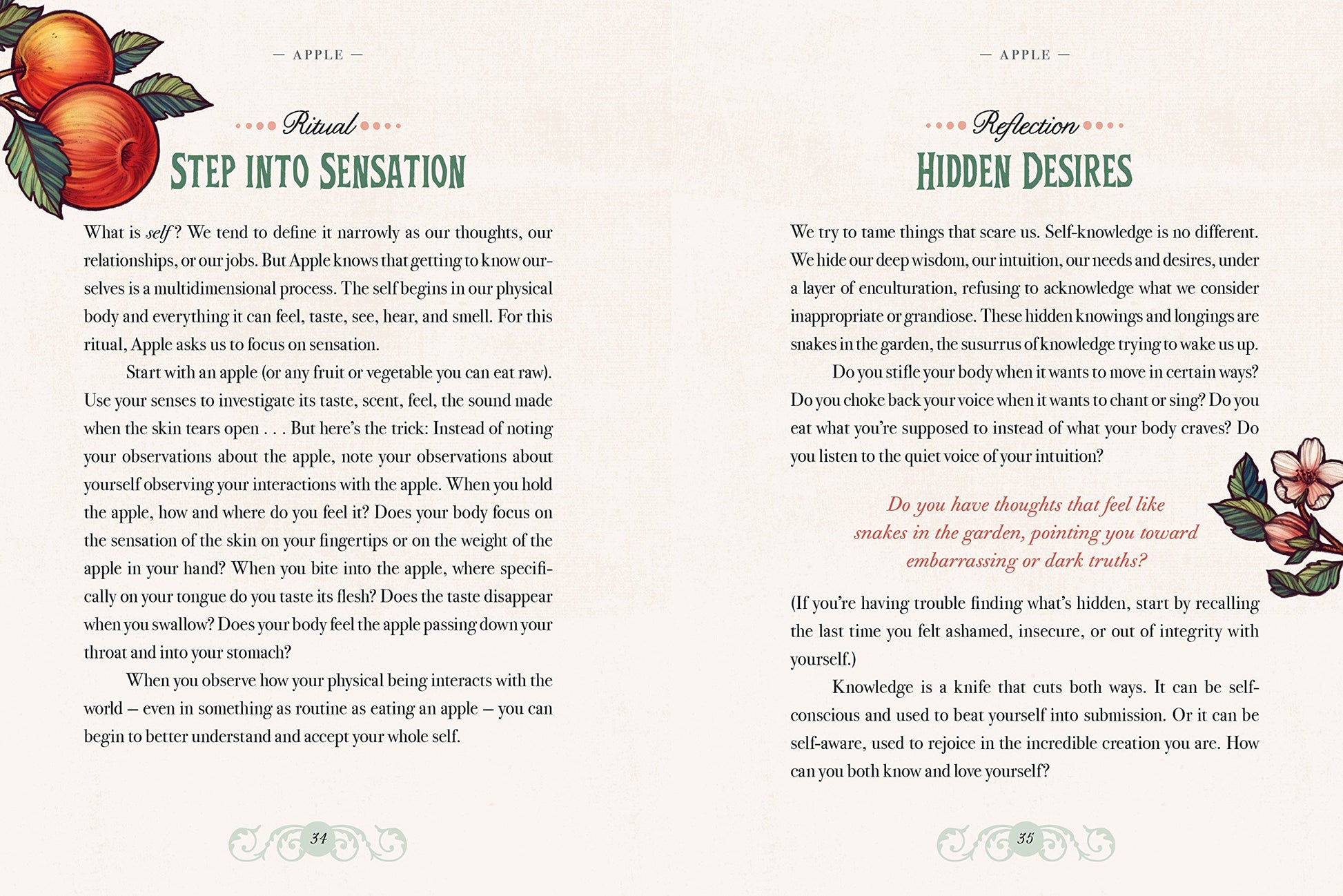 The Illustrated Herbiary: Guidance and Rituals from 36 Bewitching Botanicals (Wild Wisdom)