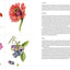 The Joy of Botanical Drawing: A Step-by-Step Guide to Drawing and Painting Flowers, Leaves, Fruit, and More