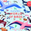 Sounds of Nature: World of Birds