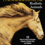 Woodburning Realistic Animals: 12 Step-by-Step Pyrography Projects of Birds, Pets, and Wildlife (Fox Chapel Publishing) Tutorials for Eyes, Fur, Manes, & Whiskers; Projects for Big Cats, Owls, & More
