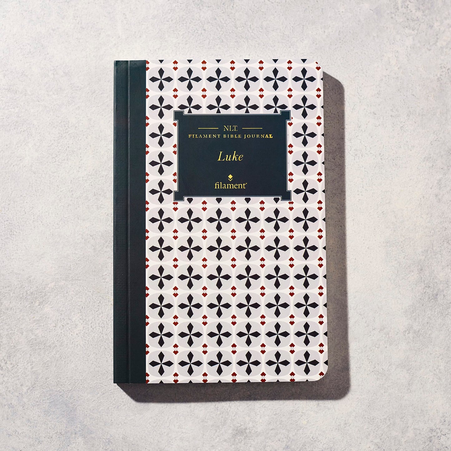 NLT Filament Bible Journal: Luke (Softcover)