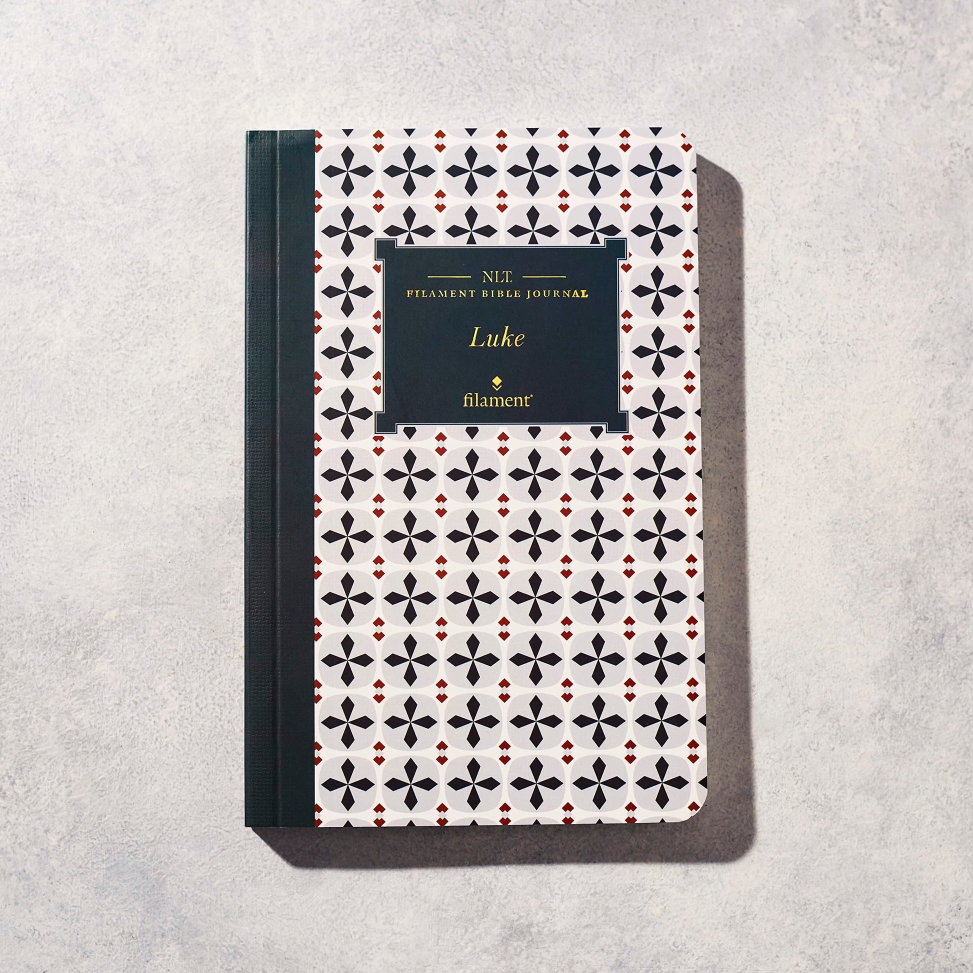 NLT Filament Bible Journal: Luke (Softcover)