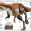 Knowledge Encyclopedia Dinosaur!: Over 60 Prehistoric Creatu